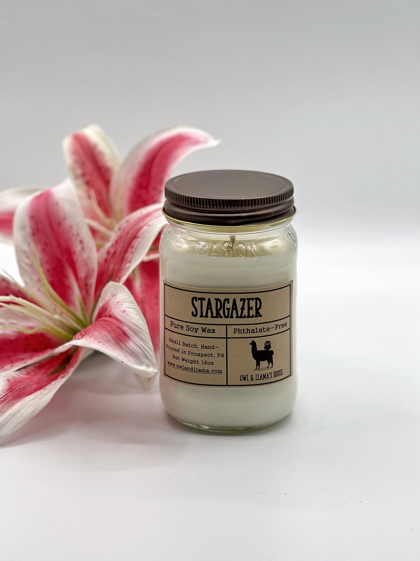 Stargazer Farmhouse Candle