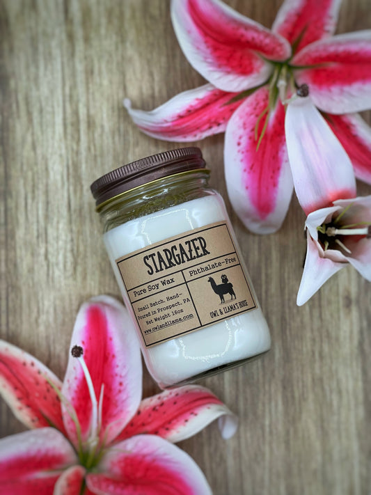 Stargazer Farmhouse Candle