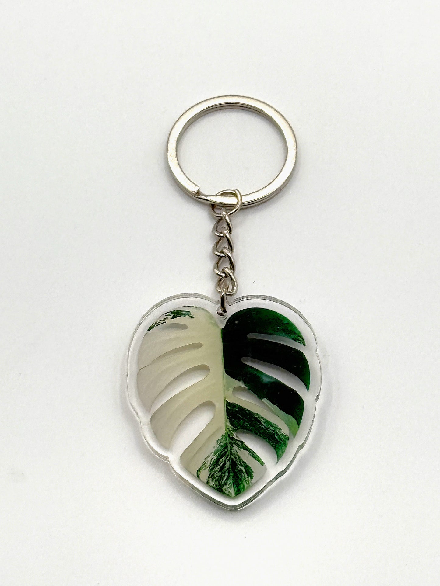 Albo Monstera Keychain