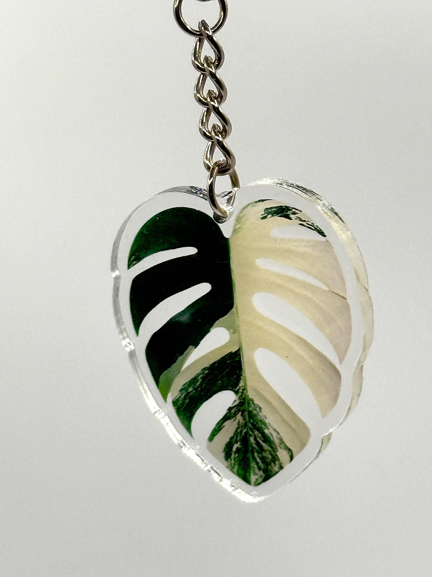 Albo Monstera Keychain